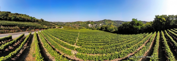 created by dji camera created by dji camera