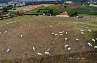 created by dji camera created by dji camera