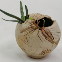 Ceramic-Stini_Zacher-031