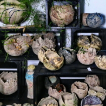 Ceramic-Stini_Zacher-039