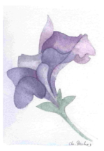 blauaquarell2_2 blauaquarell2_2